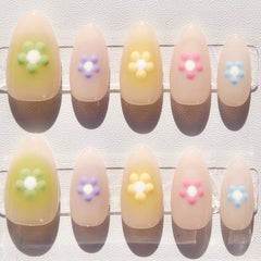 Petal Palette