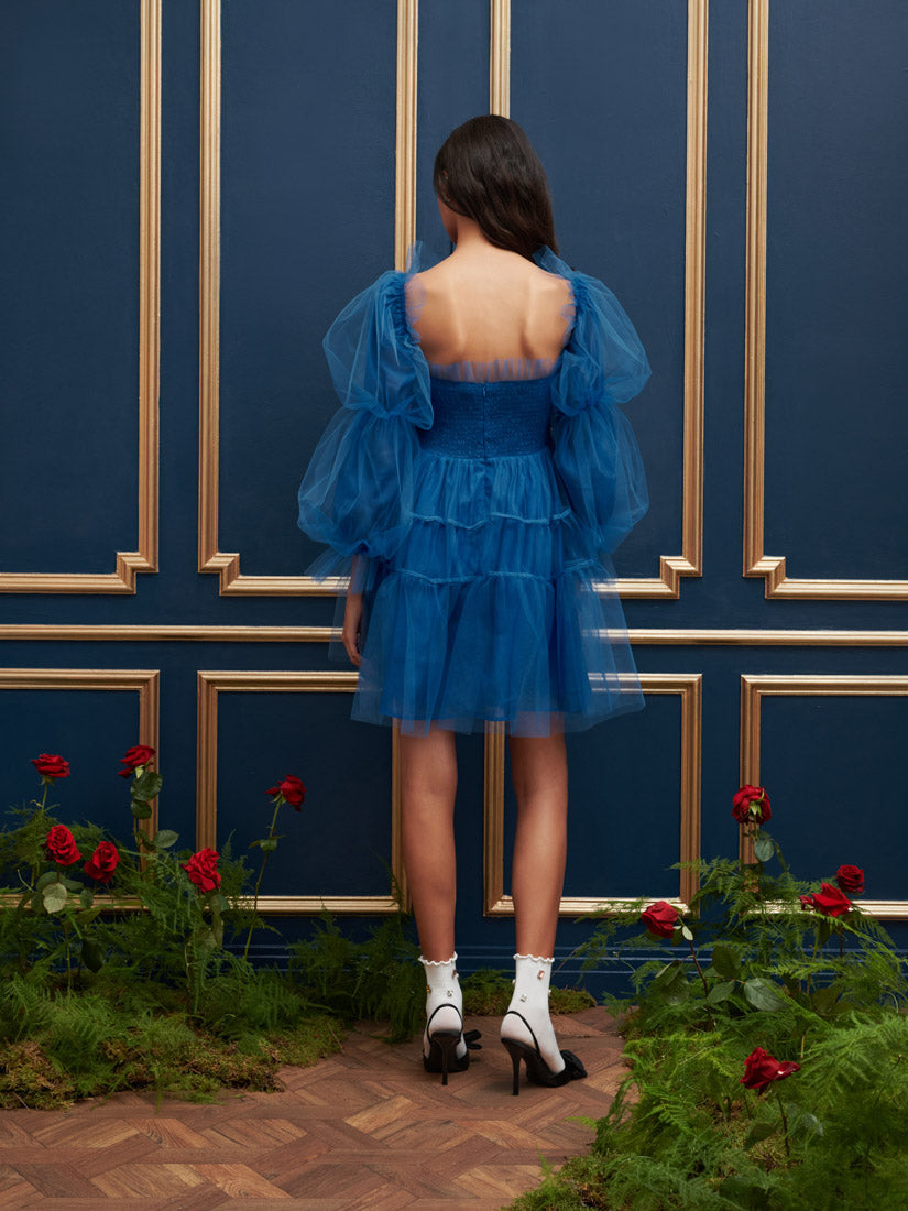 Mystery Tulle Mini Dress